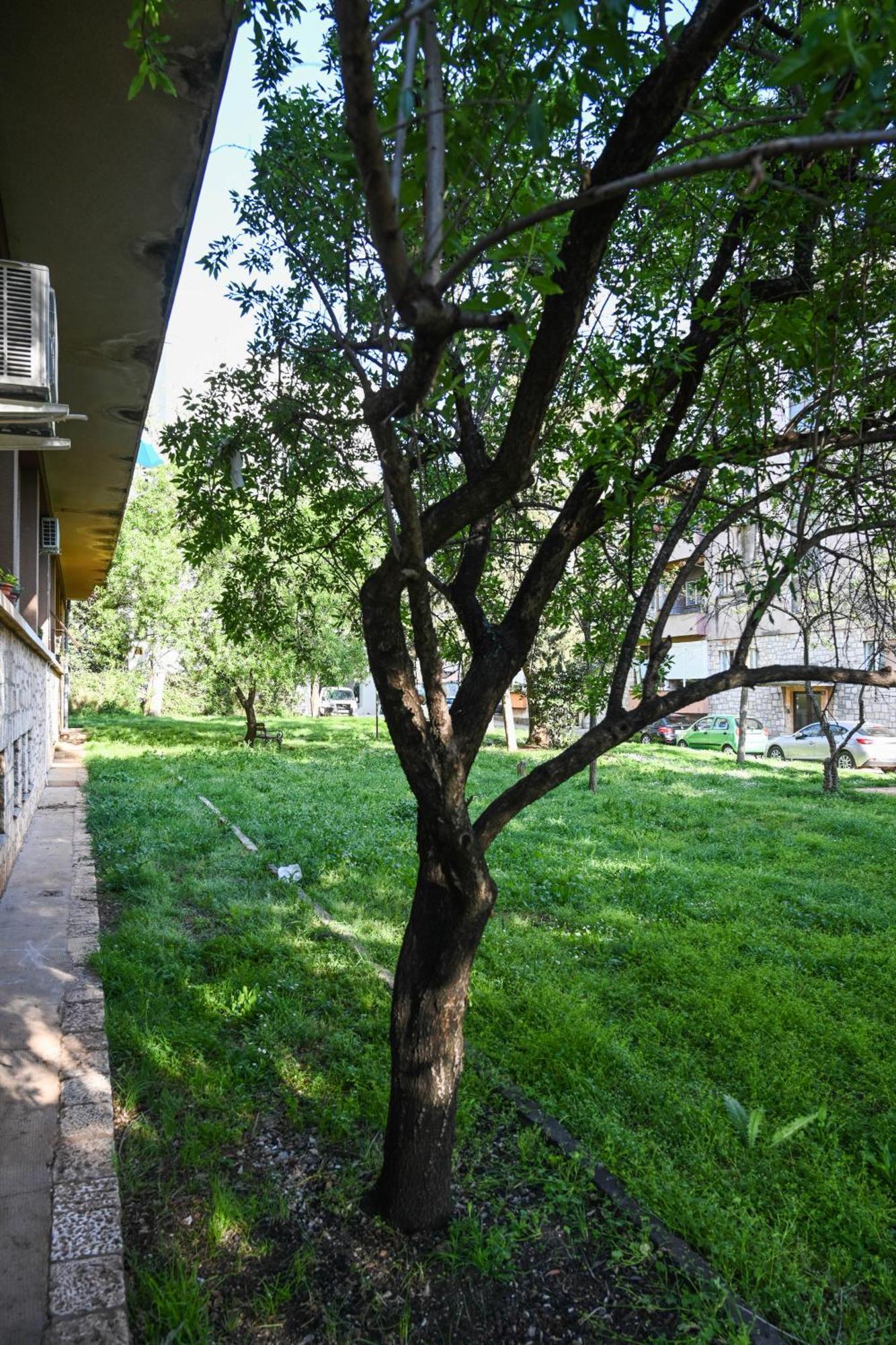 4-Star Design Apartments Bubamara ザダル エクステリア 写真